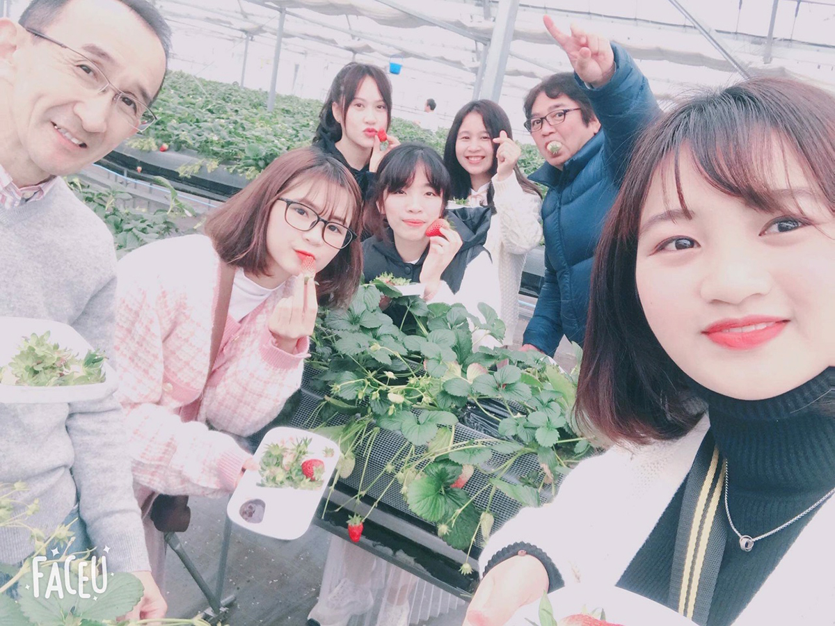 いちご狩り